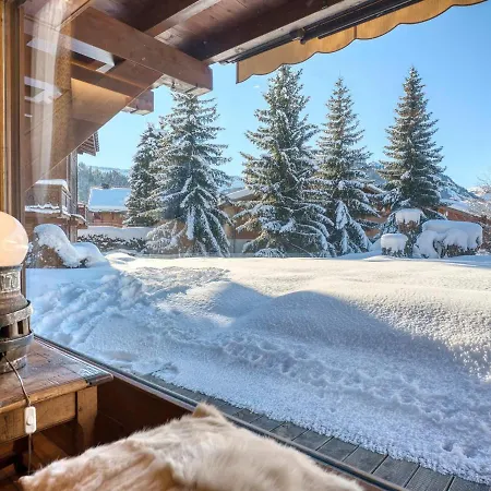 Apartment Location Appt 1 Chambre, Terrasse, Proche Pistes - Jaillet - Fr-1-453-105